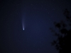 Neowise_web