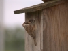 Vogelfuetterung