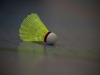 Badminton